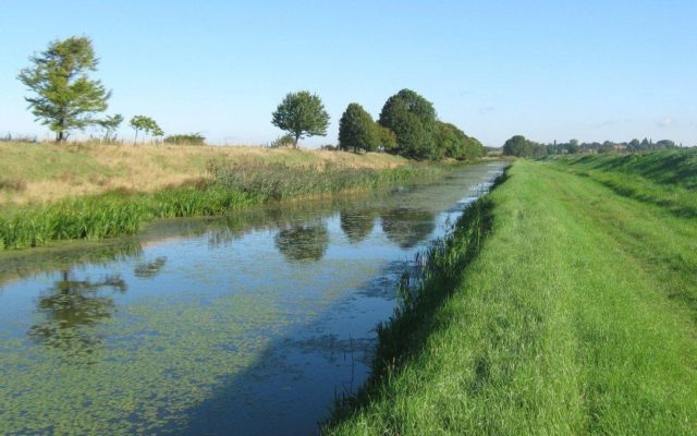 Hythe Canal Dog walk in Kent