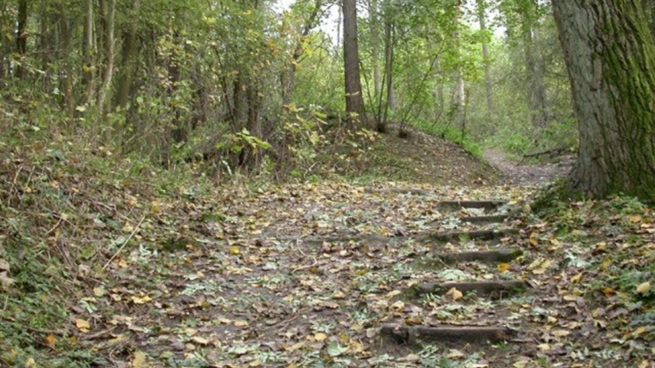 Dog walks in Northamptonshire · Walkiees