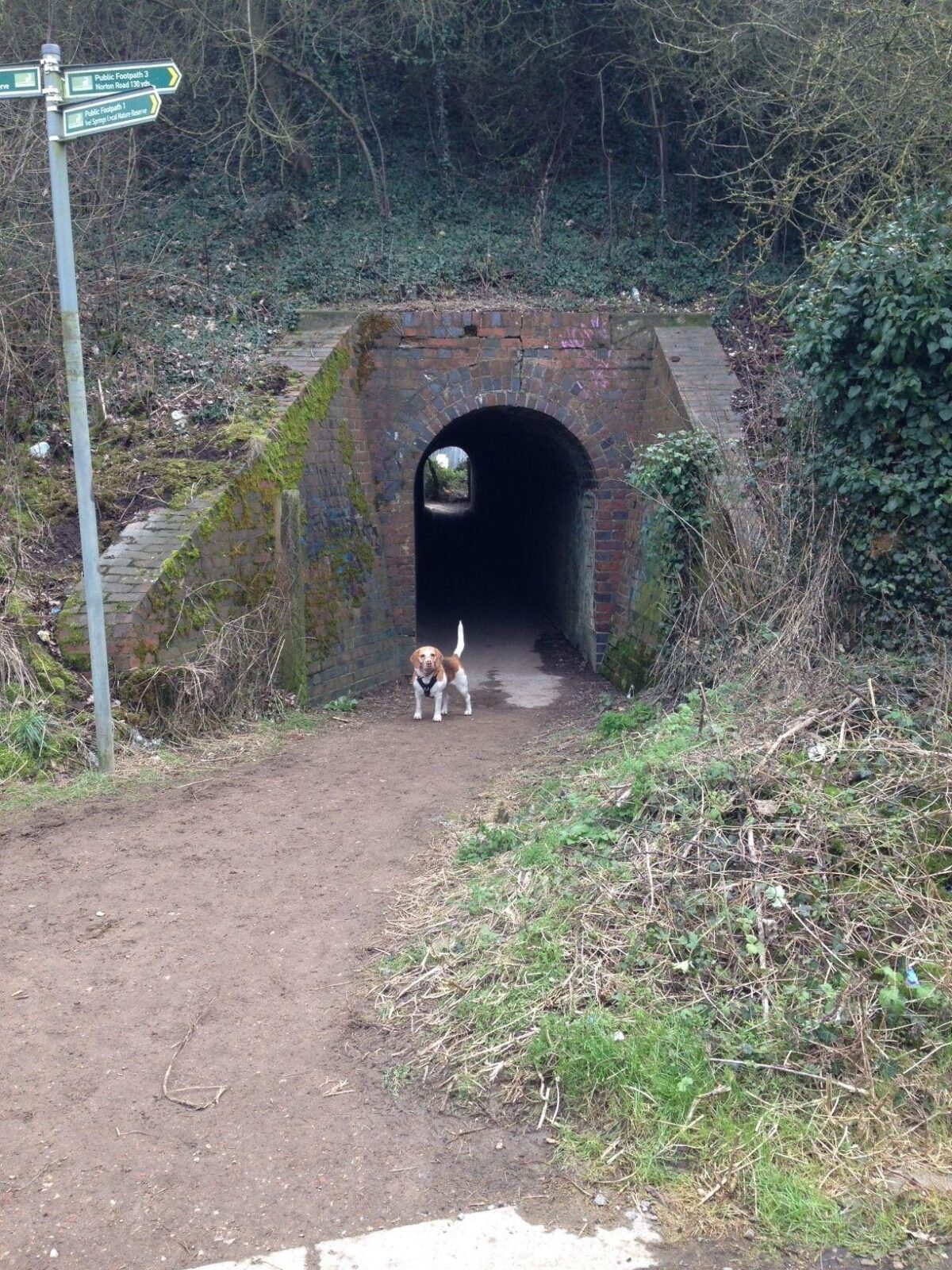 Ivel Springs, Baldock large photo 4