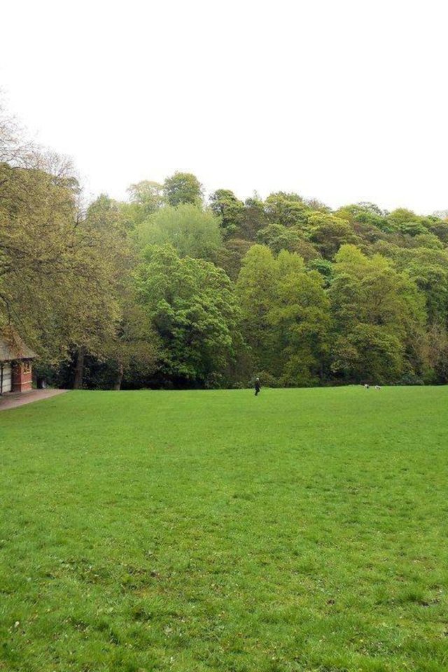 Dog walk at Jesmond Dene Park · Tyne & Wear · Walkiees