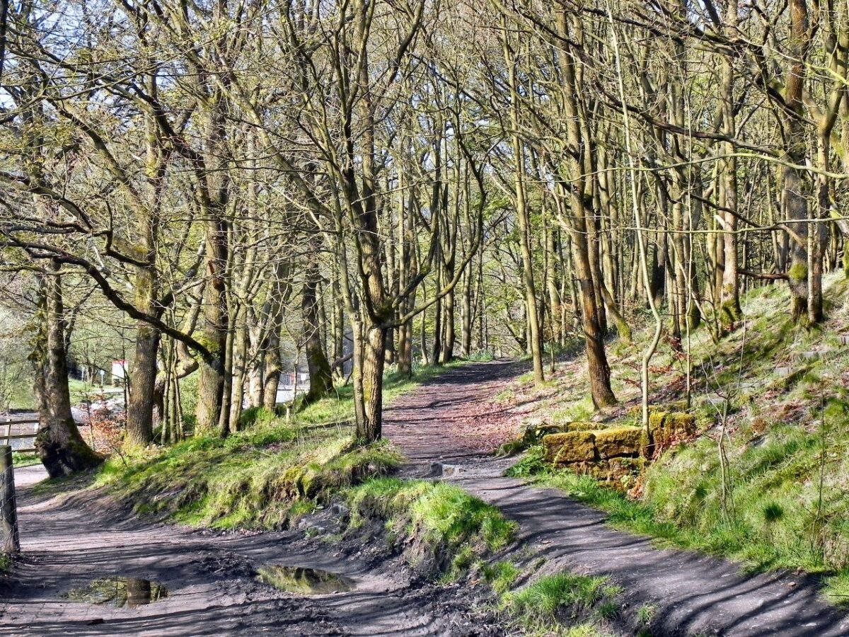 Jumbles Country Park large photo 2