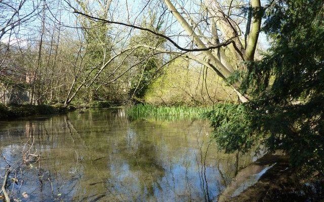 Kearsney Abbey Dog walk in Kent