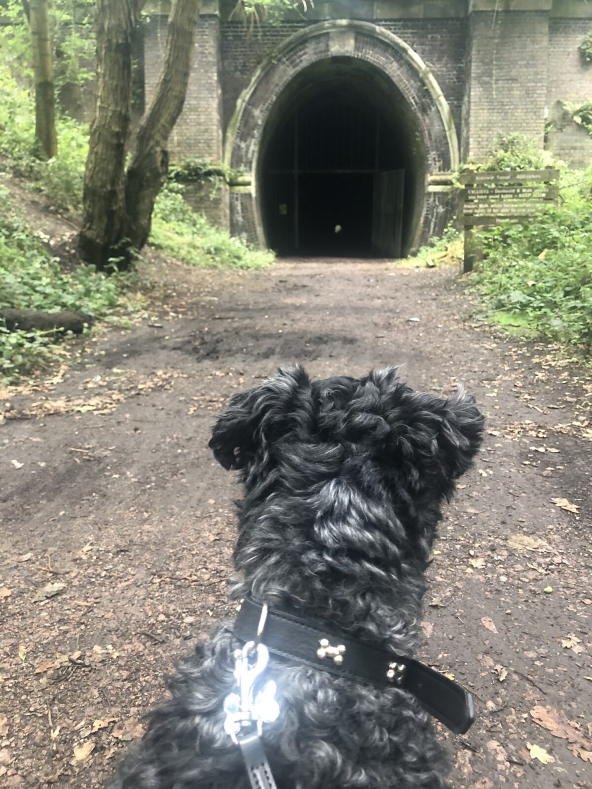 Kelmarsh Tunnels large photo 4