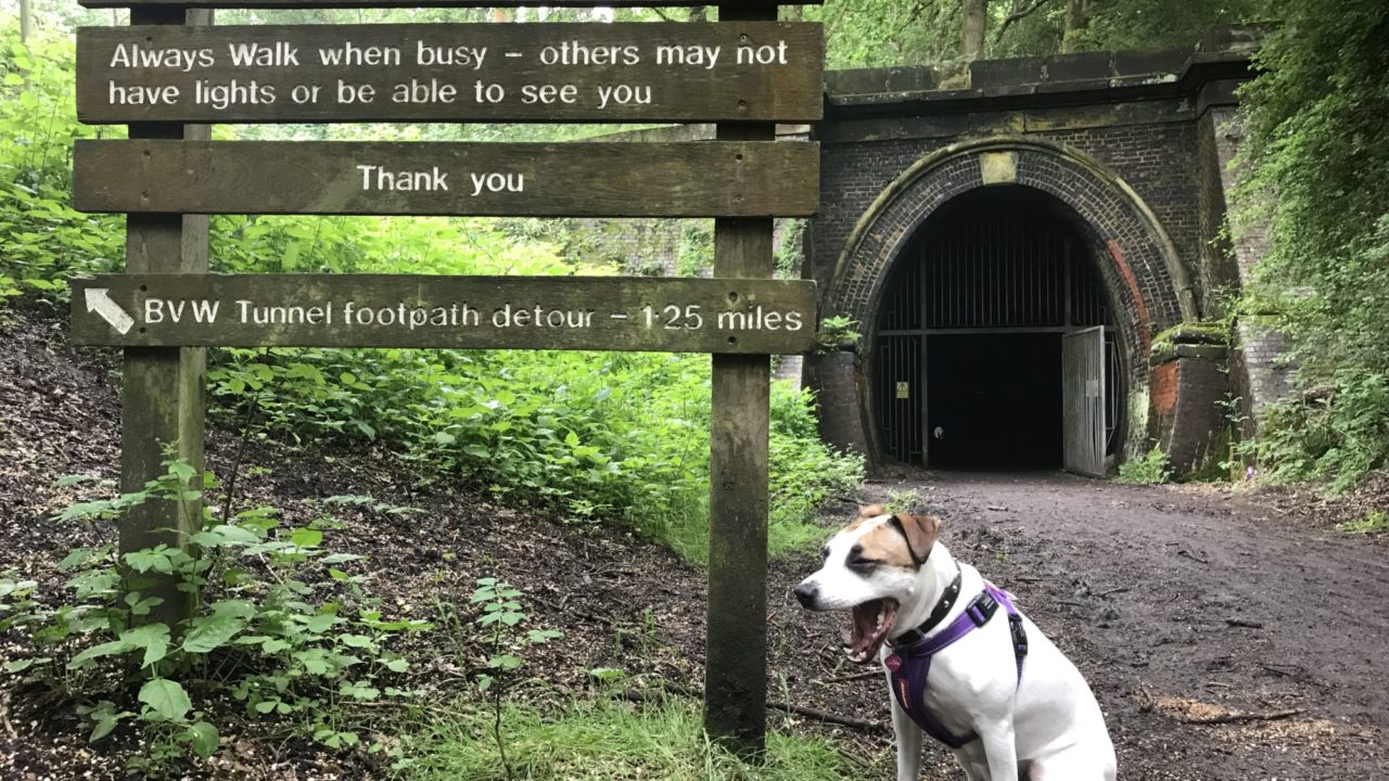 Dog walks in Northamptonshire · Walkiees