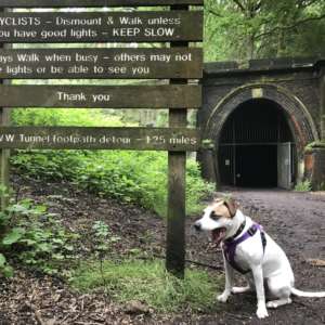 Kelmarsh Tunnels