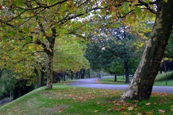 Kelvingrove Parkphoto