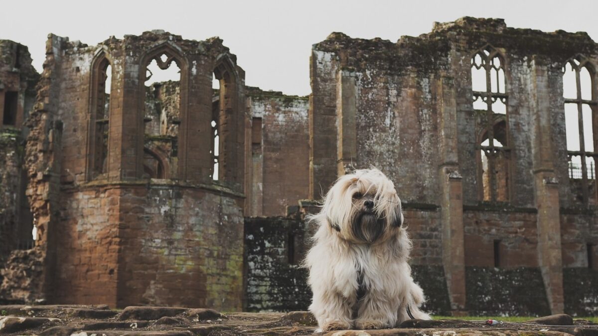 Kenilworth Castle And Elizabethan Garden large photo 1