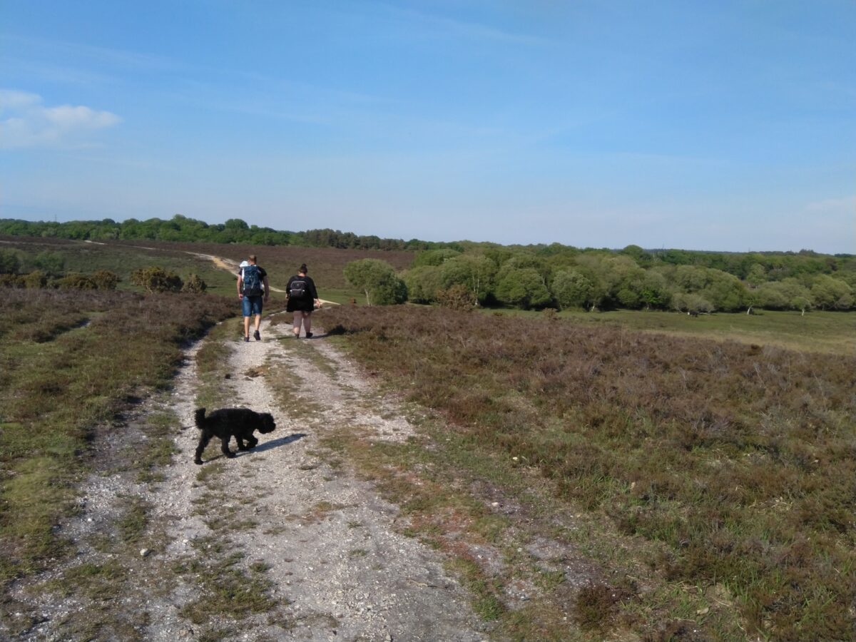 King's Hat, The New Forest large photo 2