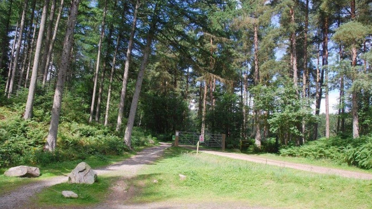 Dog walks in Aberdeenshire · Walkiees