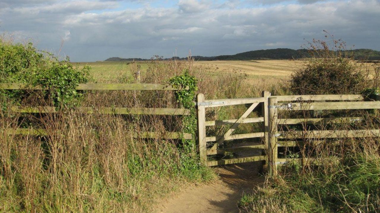 Dog walks in Norfolk · Walkiees