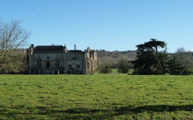 Lacock Abbey Dog walk in Wiltshire