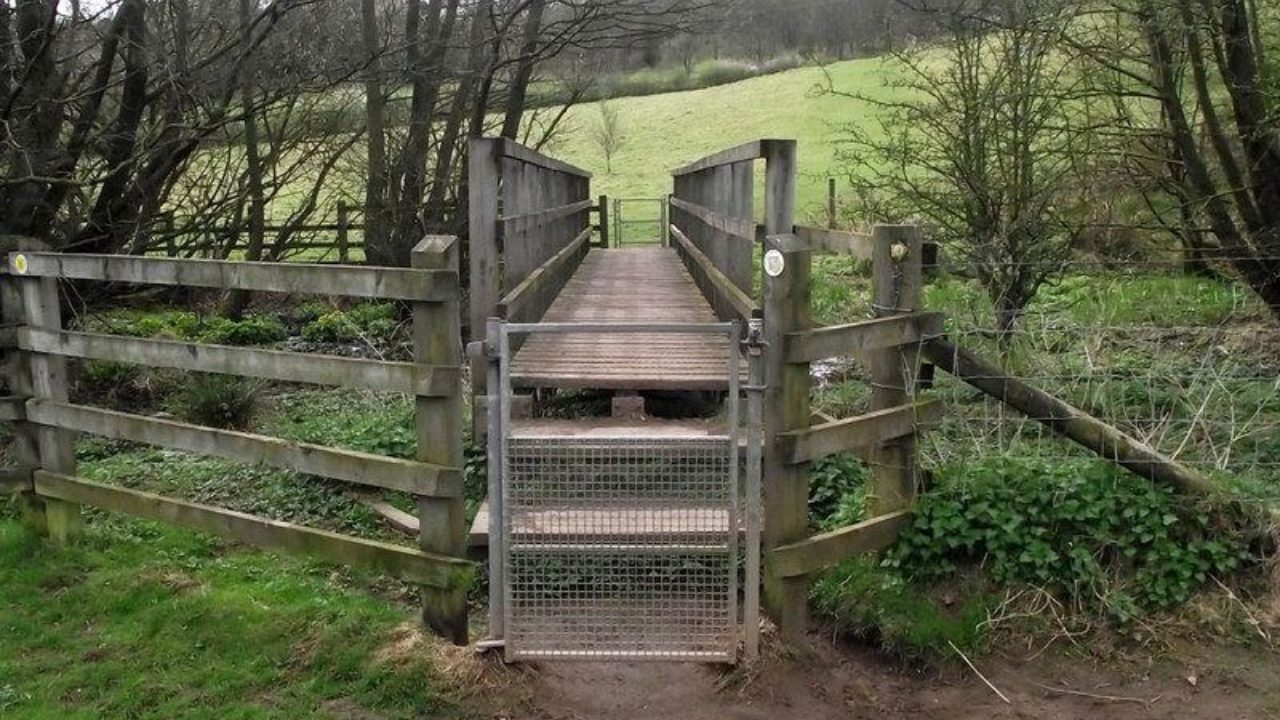 Dog walk at Barlaston Downs · Staffordshire · Walkiees