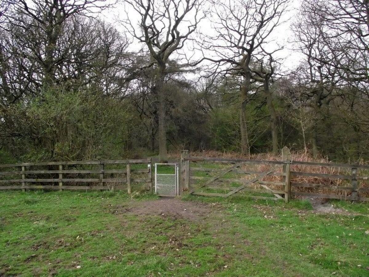 Ladderedge Country Park Near Leek large photo 4