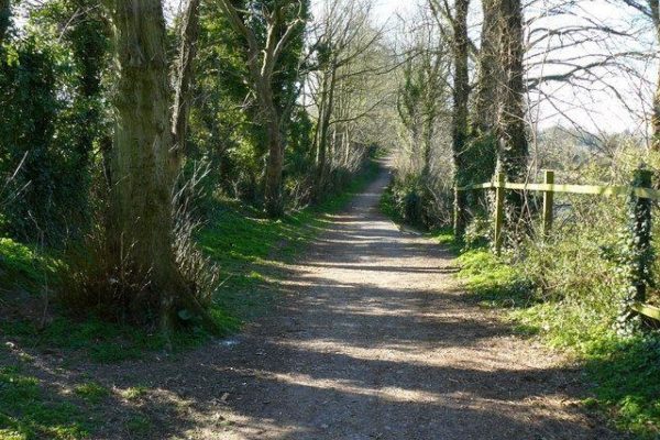 Ladies Walk, Andoverphoto