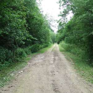 Lady’s Walk