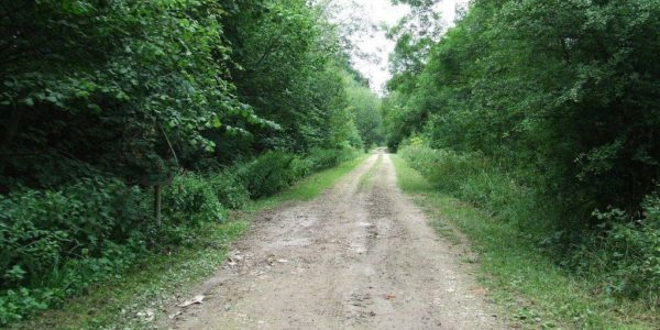 Lady’s Walk