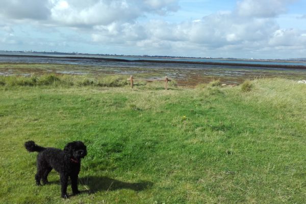 Langstone Harbour and Hayling Islandphoto