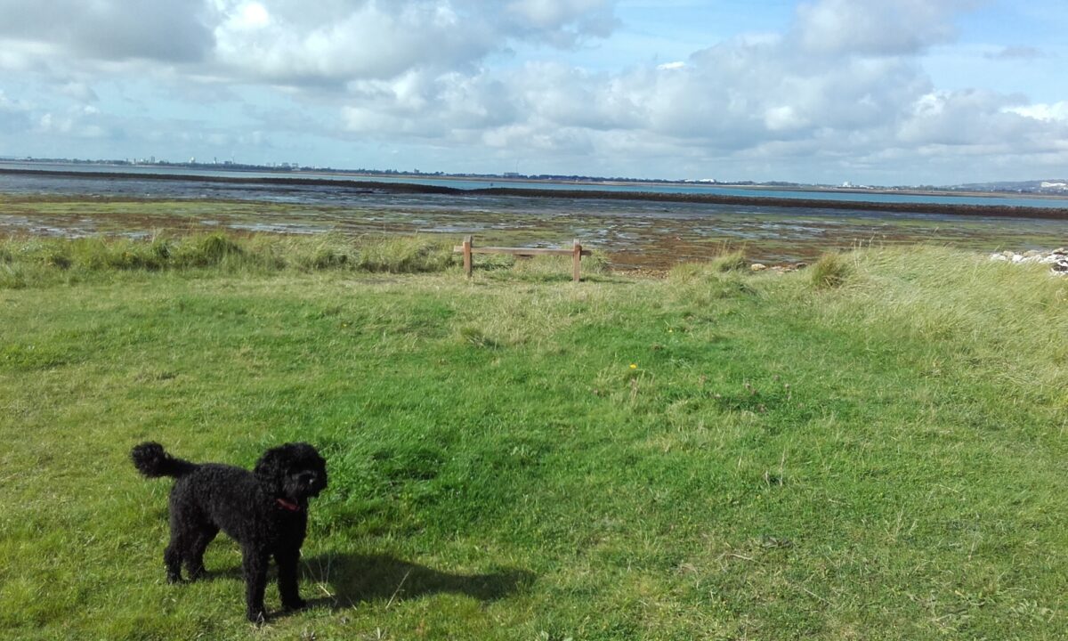 Langstone Harbour and Hayling Island large photo 1