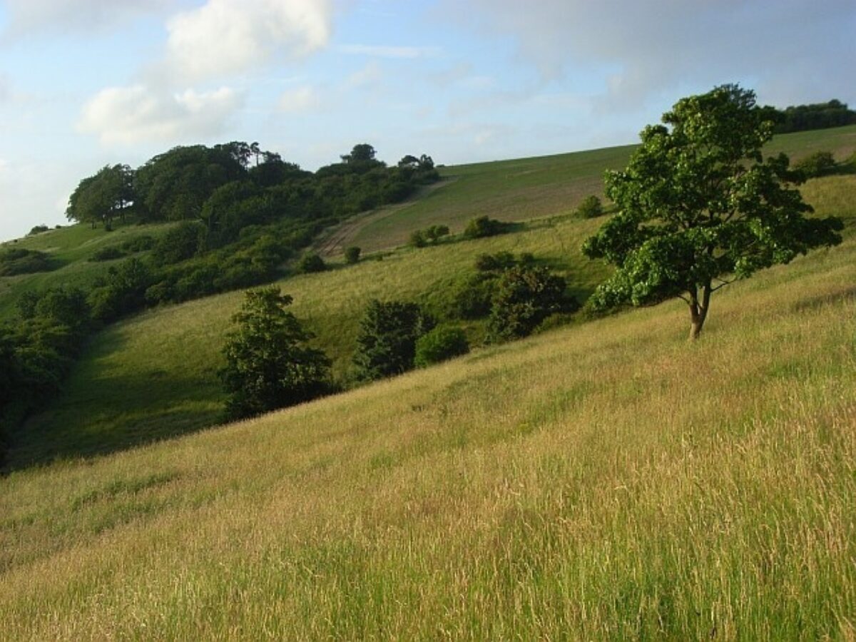 Laverstock Down large photo 2