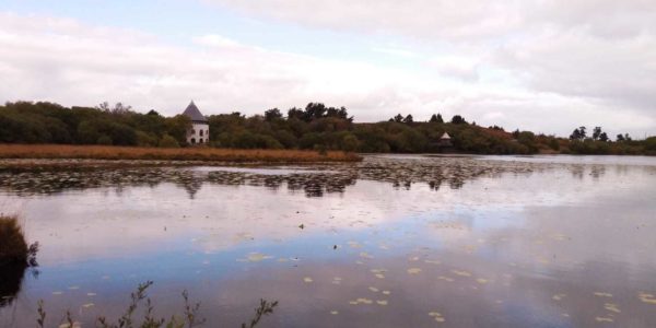 Llyn Llech Owain Country Park