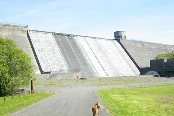 Llys-y-fran Reservoirphoto