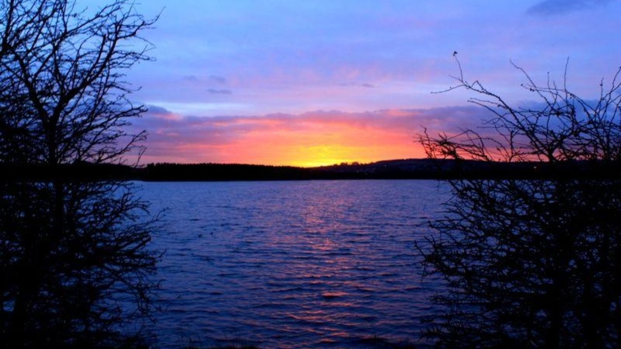 Dog walks in Fife · Walkiees