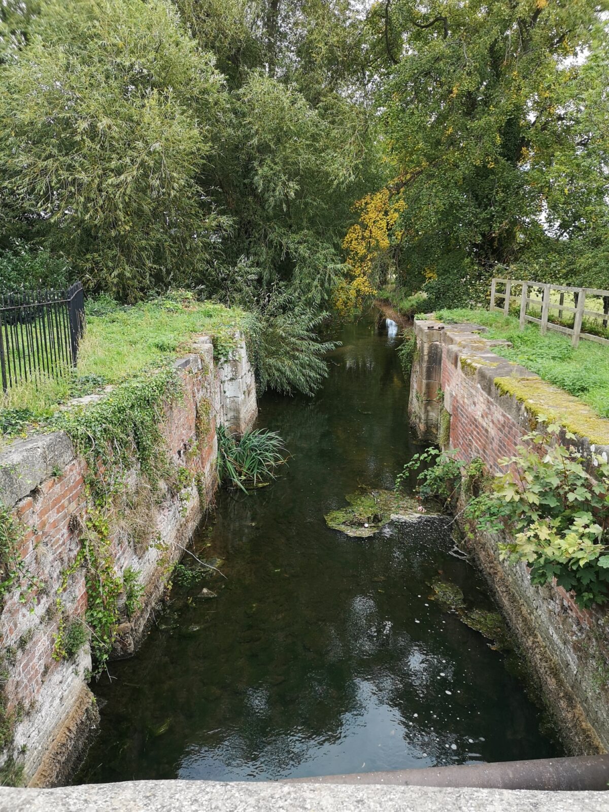 Lollycocks Field and River Walk large photo 3