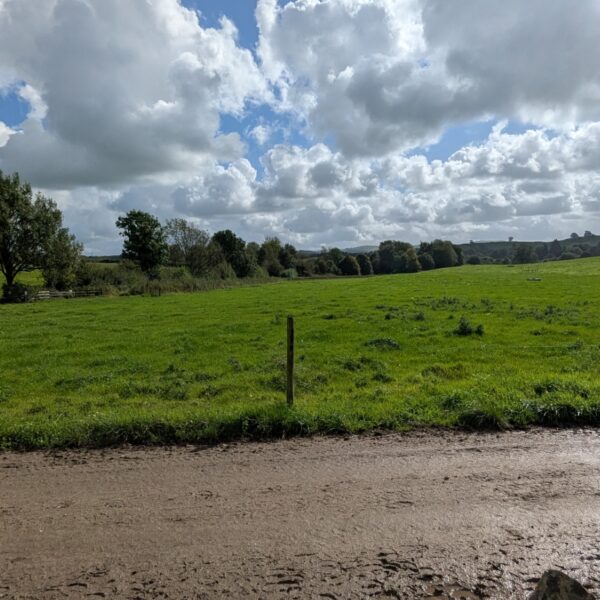 Low Sizergh Barn Farm photo 4