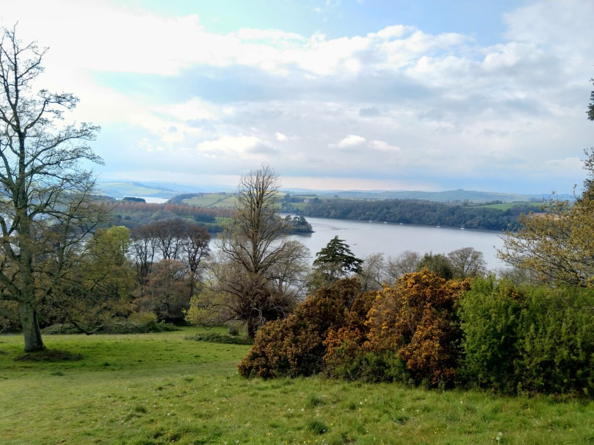 Lower Dart Valley large photo 12