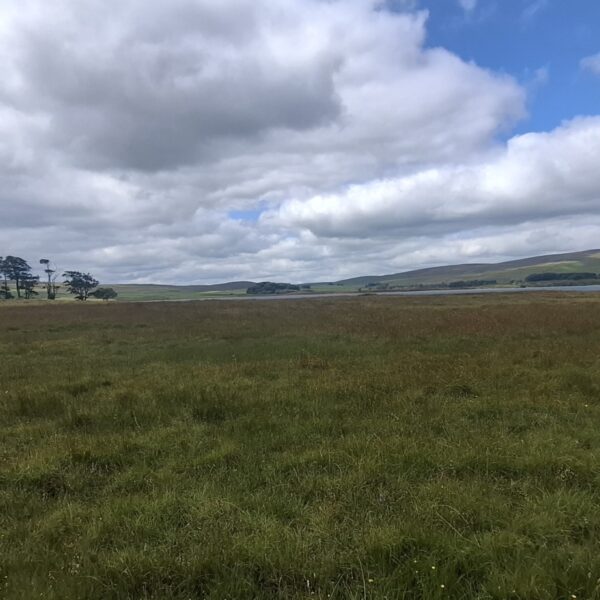 Malham Tarn Circular photo 5
