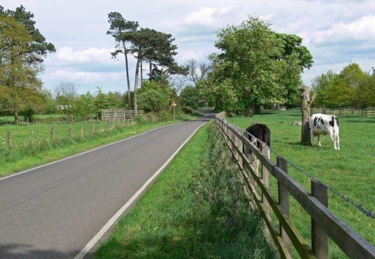 Market Bosworth Country Park large photo 1