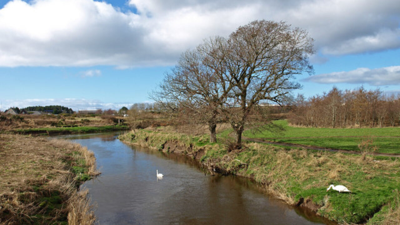 Dog walks in Ayrshire · Walkiees