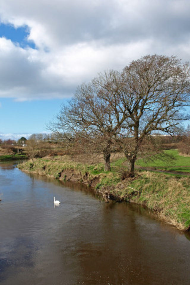 Dog walk at Milgarholm Park, Irvine · Ayrshire · Walkiees