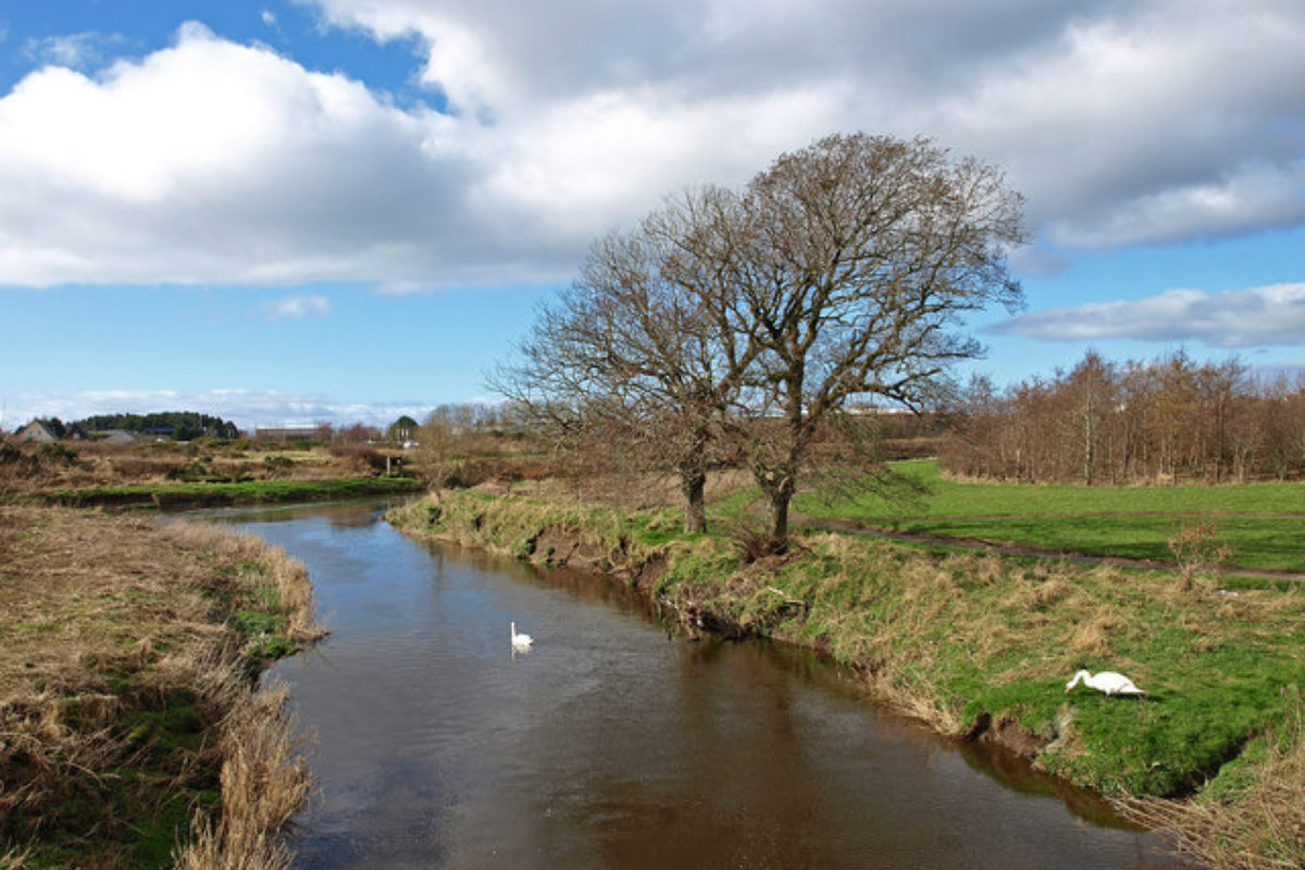 Dog walk at Milgarholm Park, Irvine · Ayrshire · Walkiees