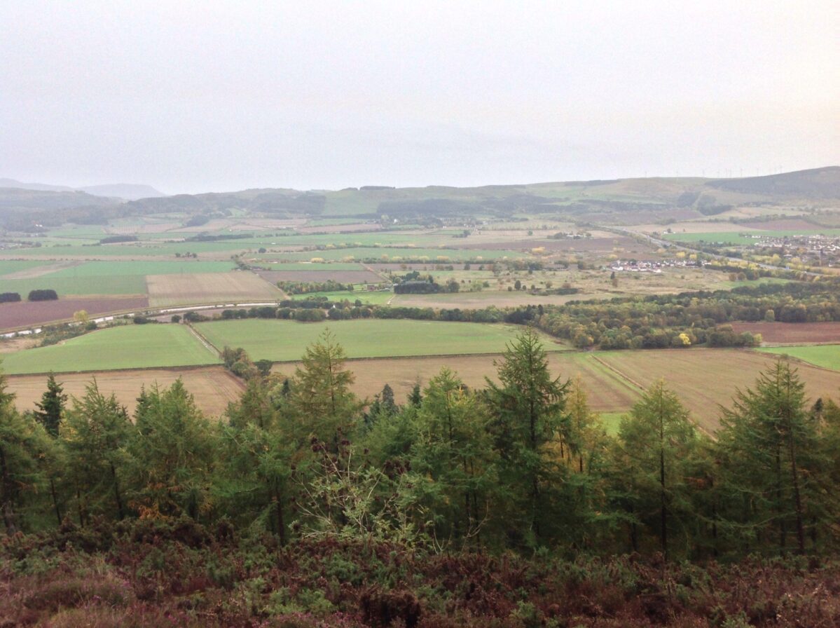 Moncreiff Hill Fort large photo 11