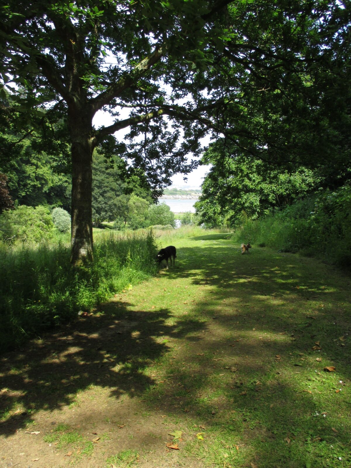 Mount Edgecumbe Country Park large photo 5