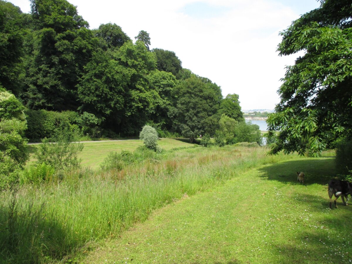 Mount Edgecumbe Country Park large photo 6