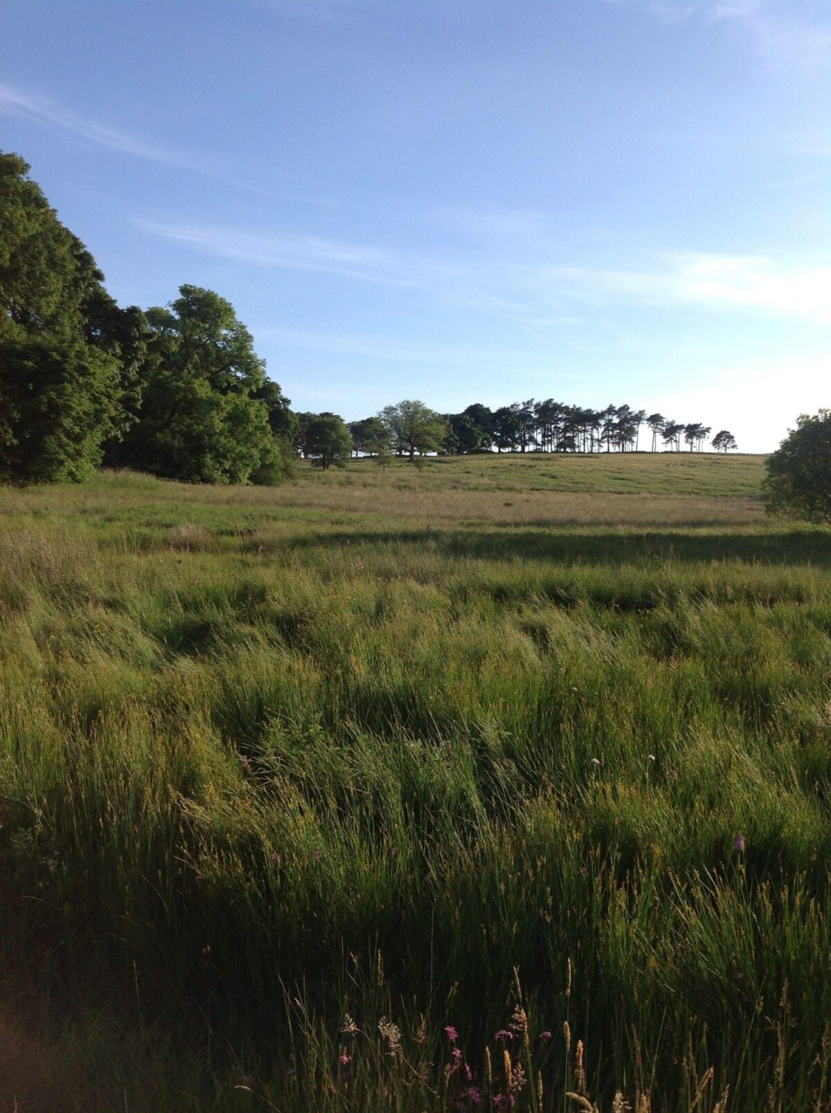 Mugdock Country Park large photo 4