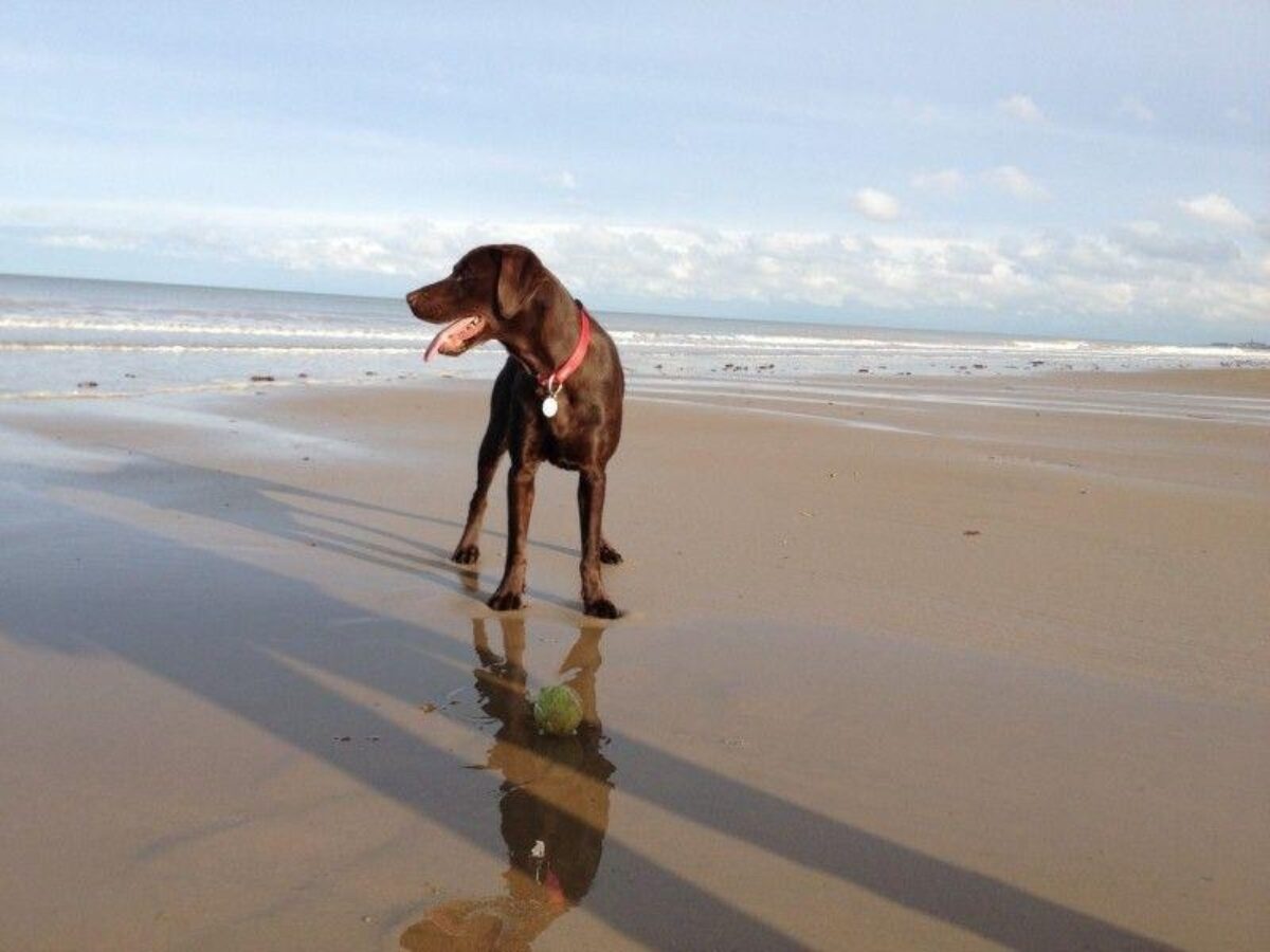 Mundesley Beach large photo 5