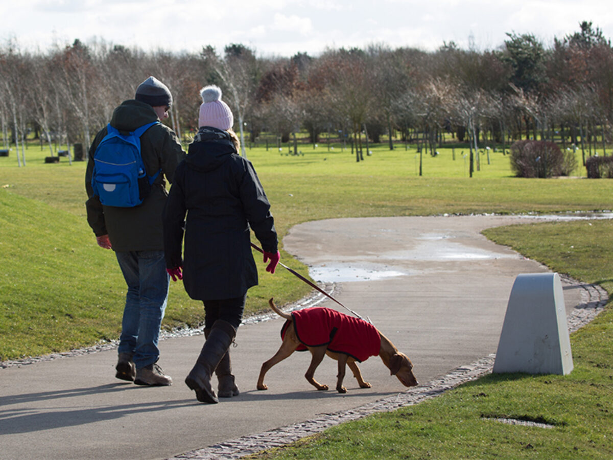 National Memorial Arboretum large photo 3