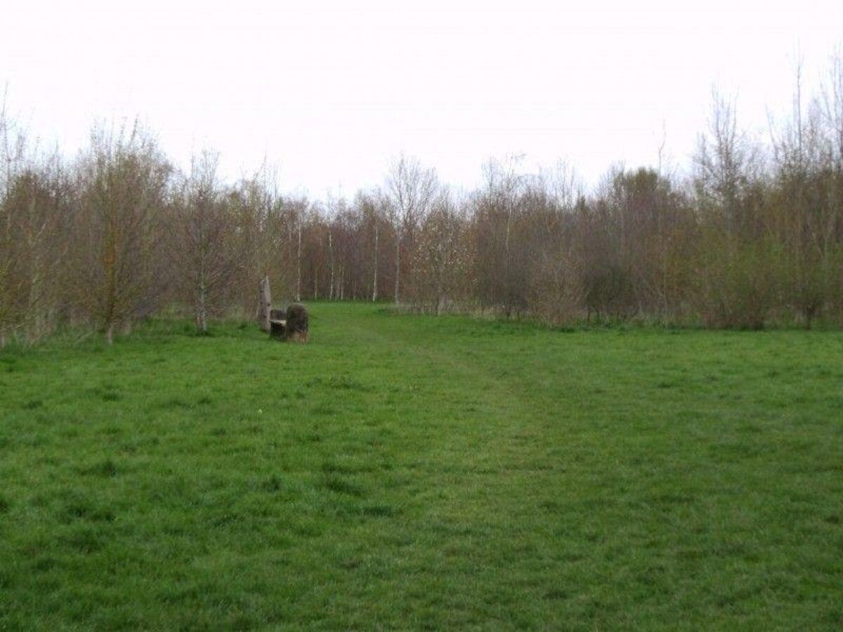 Netherclay Community Woodland large photo 3