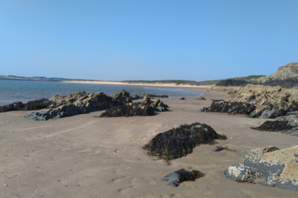 Newborough Forest, Isle of Angleseyphoto