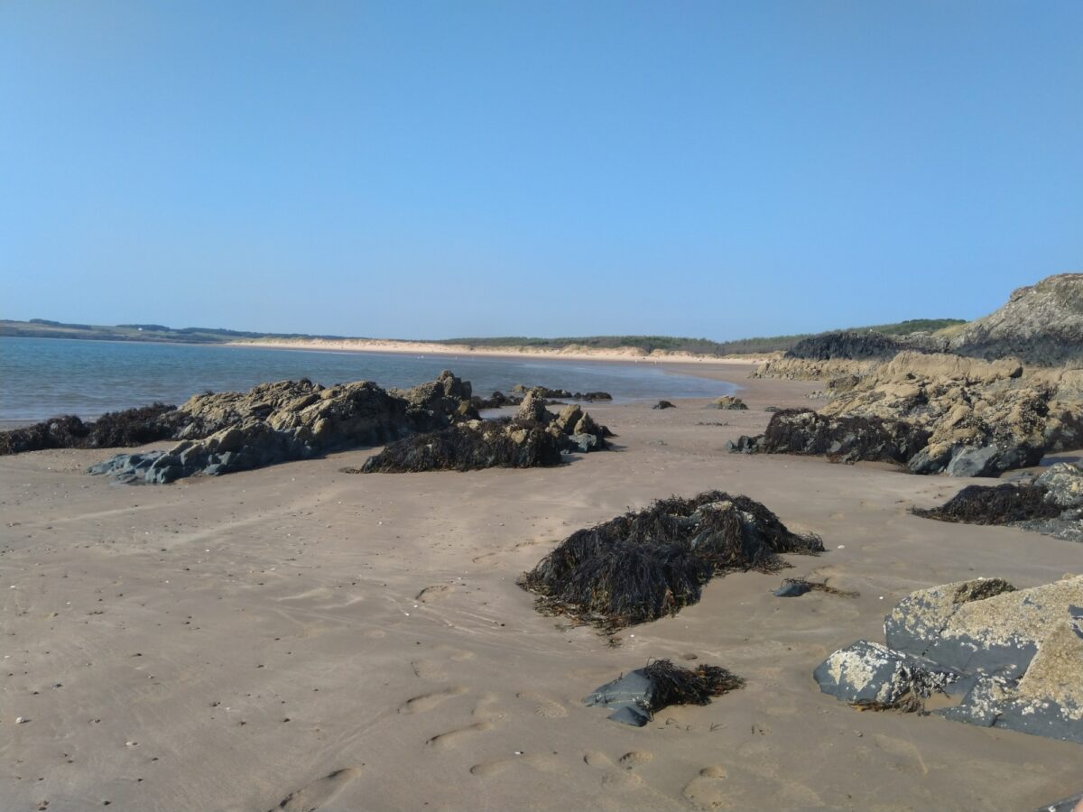 Newborough Forest, Isle of Anglesey large photo 1