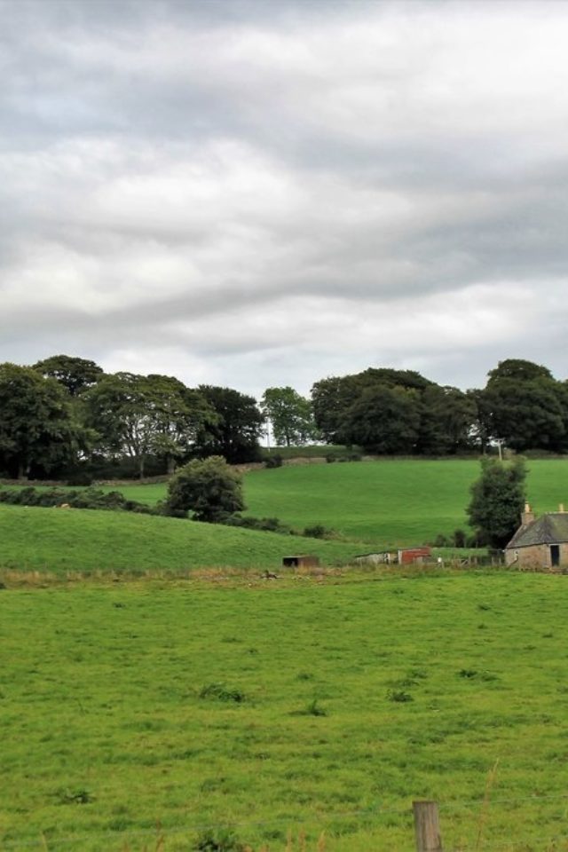 Dog walk at Newseat · Aberdeenshire · Walkiees