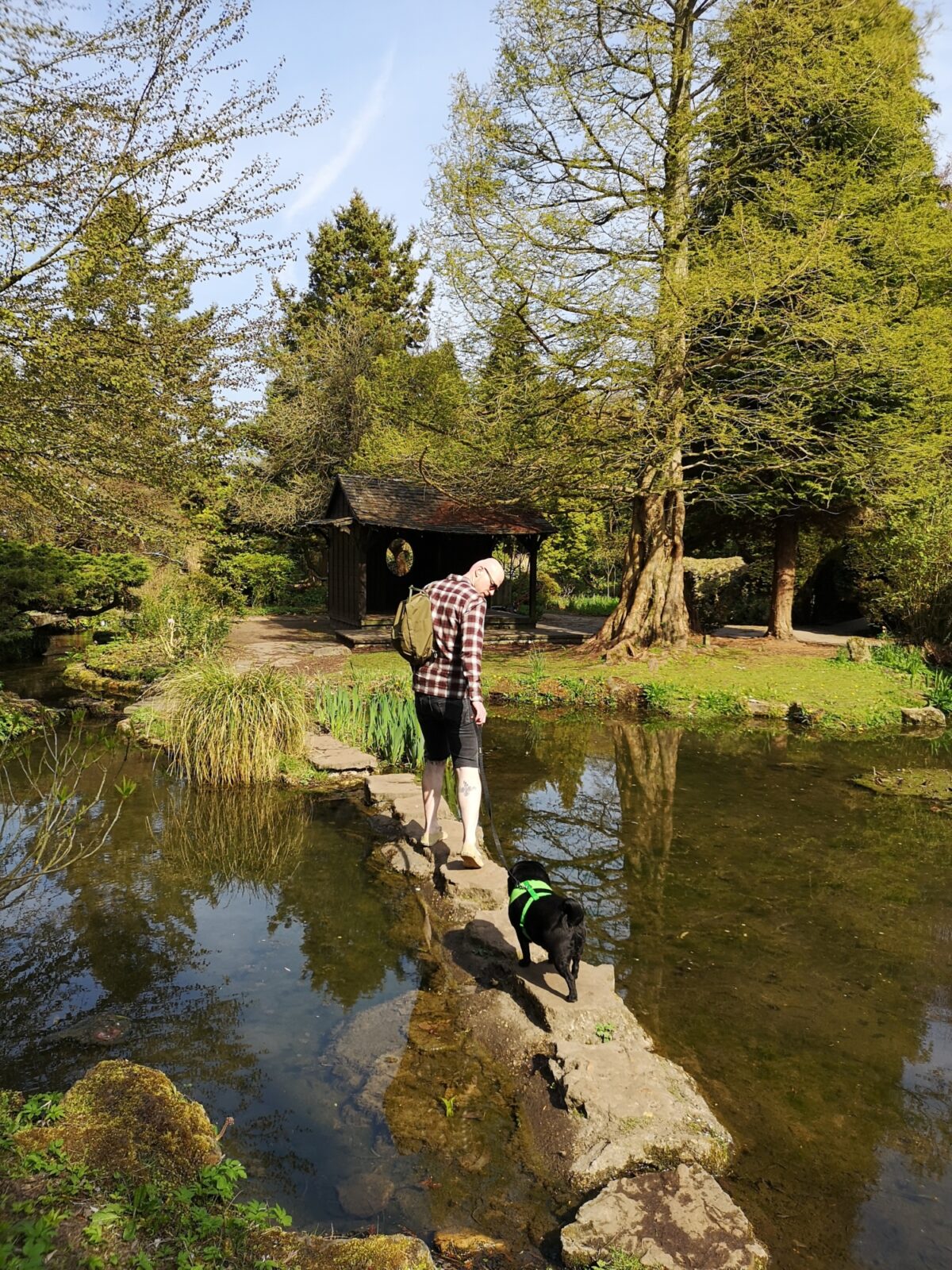 Newstead Abbey large photo 3