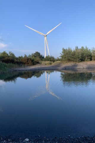 Dog walk at Newstead and Annesley Country Park photo