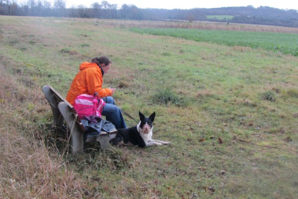 Newton Tony Near Dogs Trust Salisburyphoto