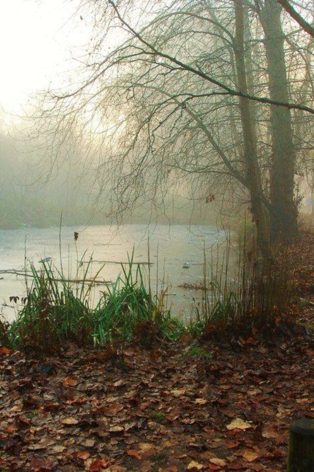 Dog walk at Ninesprings Yeovil Country Park · Somerset · Walkiees