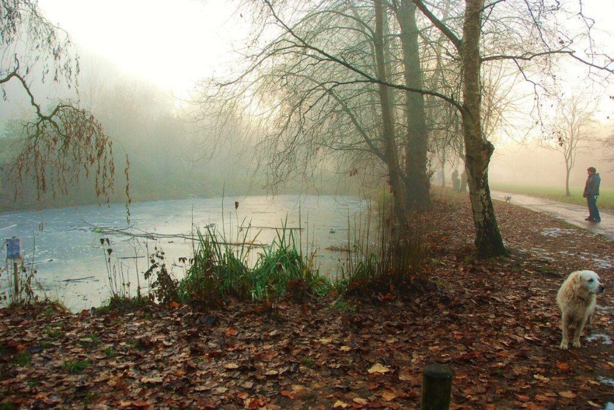 Ninesprings - Yeovil Country Park large photo 1