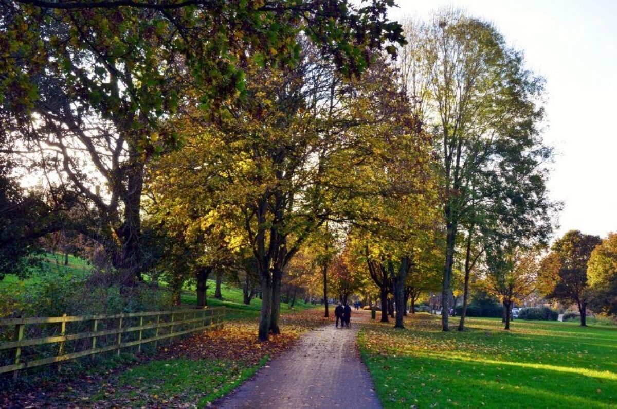 Ninesprings - Yeovil Country Park large photo 3